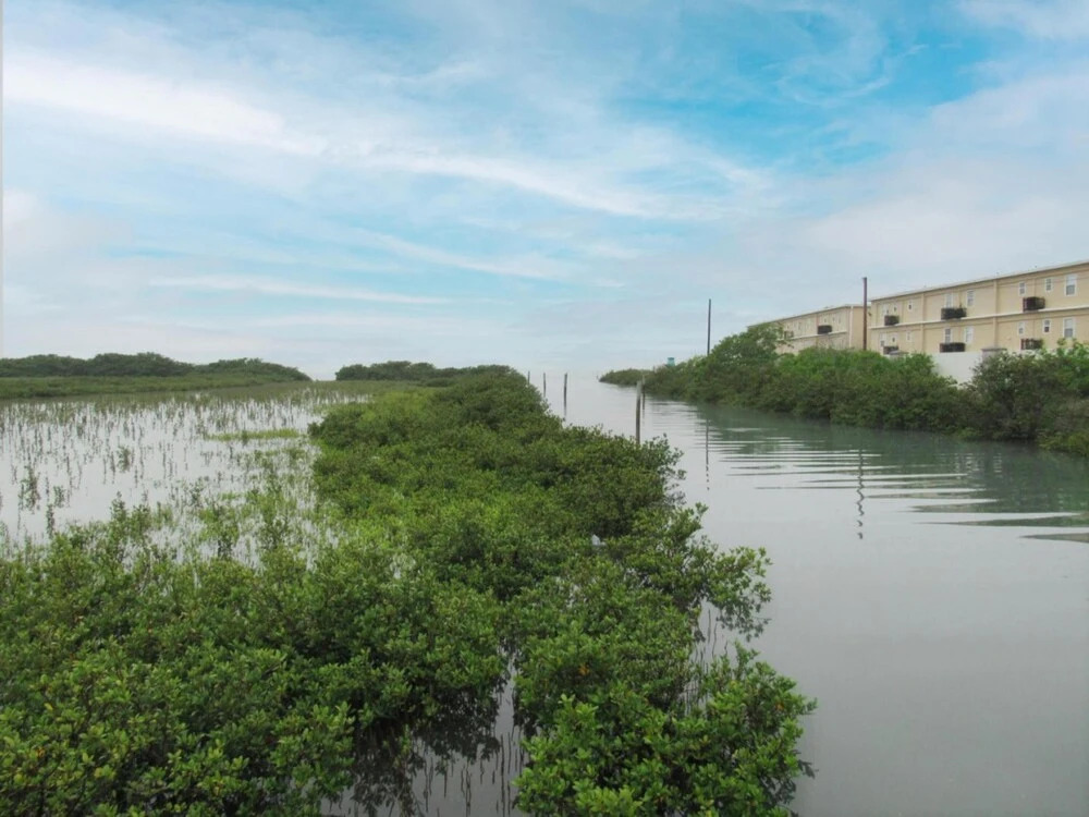 Tortuga Bay 6-1 by Padre Island Rentals