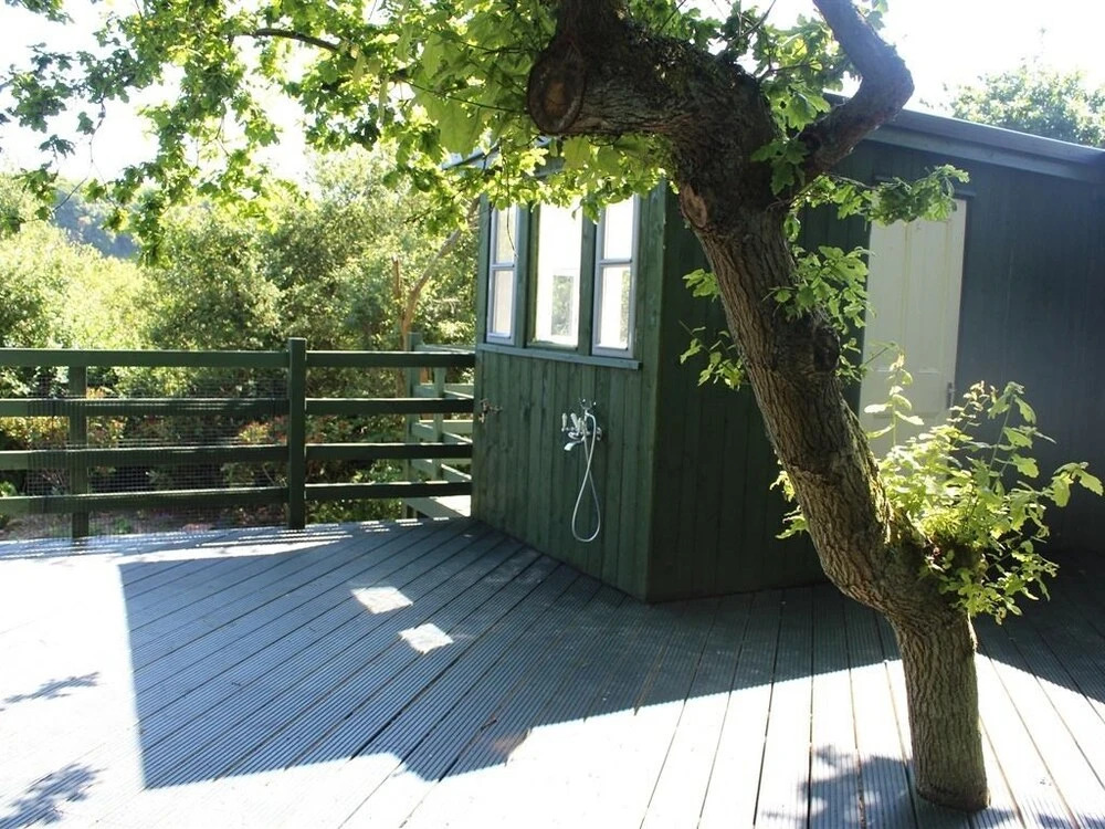 Holly Oak Sanctuary
