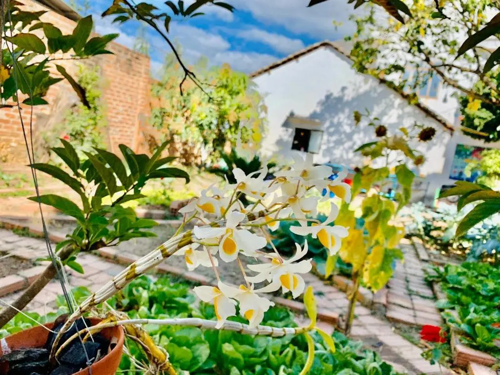 Vietnam Phuot Real Home