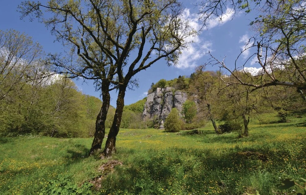Ca Del Ducci