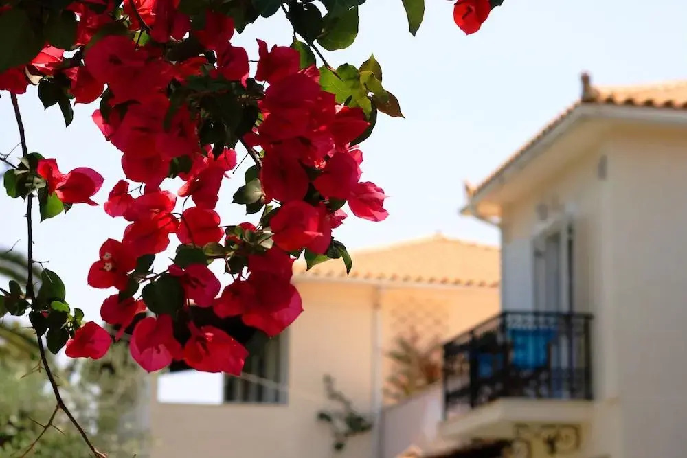 Villa Phoenix