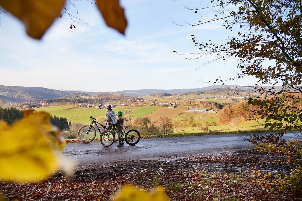 Ferienwohnungen Wald und Wiese