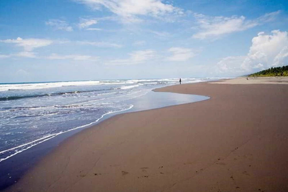 Colon Caribe