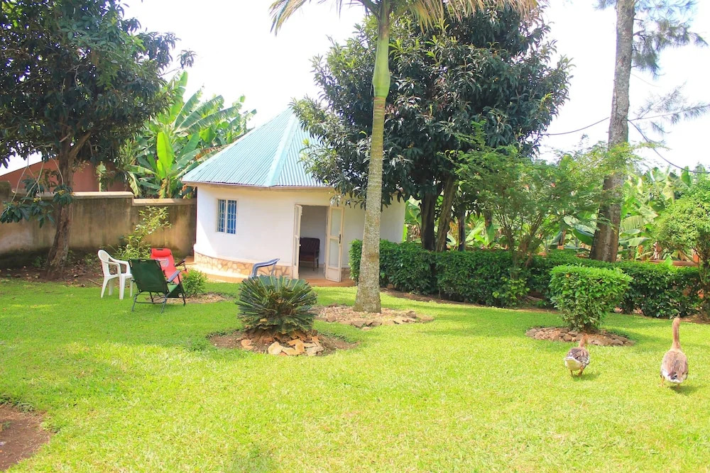 Afro Homestay