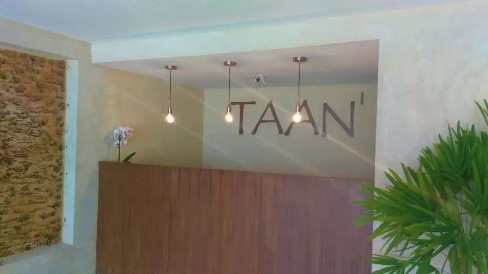 TAAN'