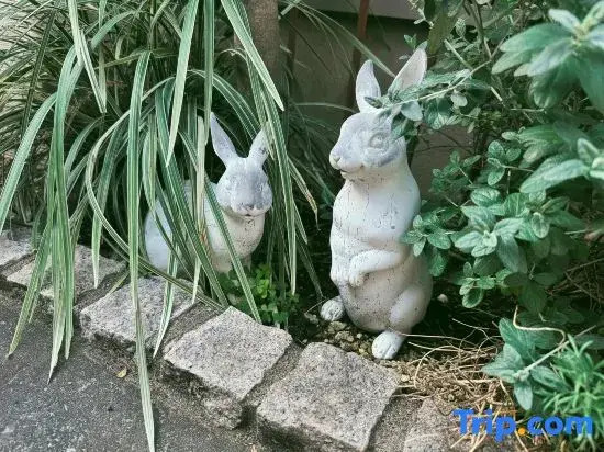 Sakura no Kawa 67 | Detached House in Shibuya | Only 1 Stop to Shinjuku | Free Wi-Fi