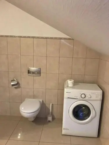 Sokół