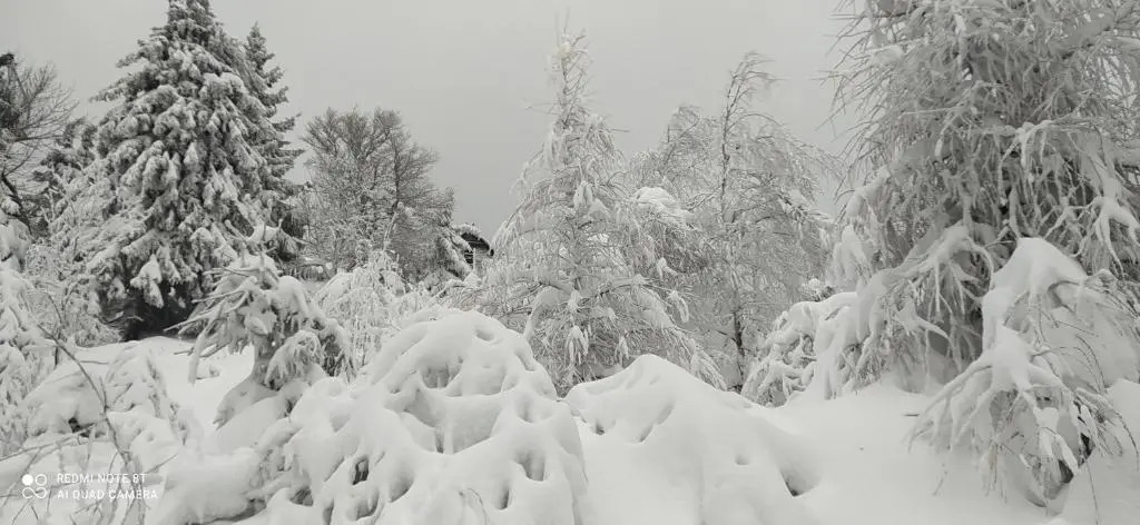 Na Małej