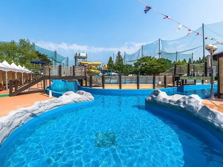 Paju Glamping Club Lespia