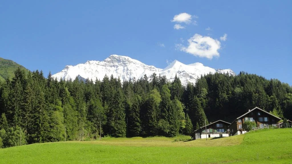 Chalet Aelpli Bed and Breakfast