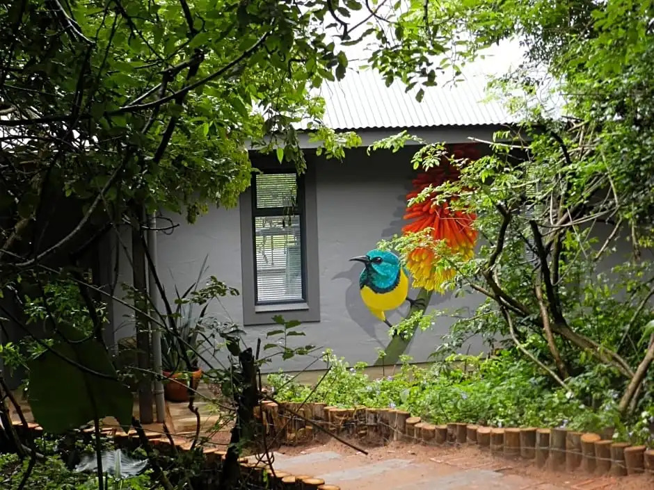 The Bird Hide