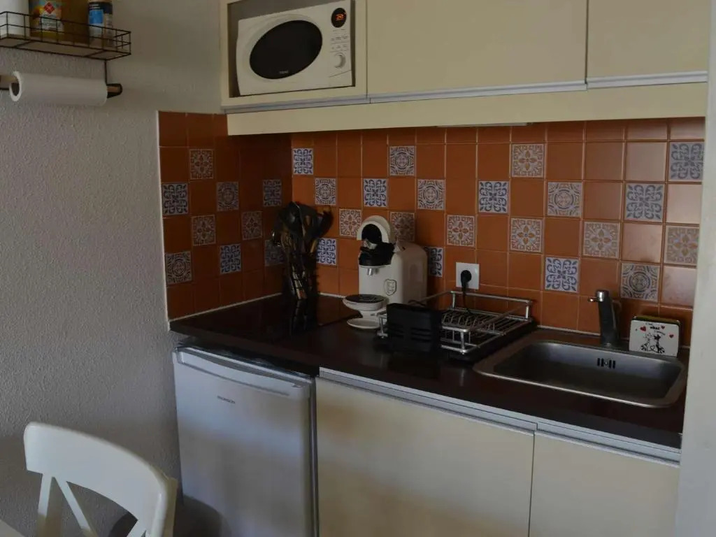 Appartement Le Grau-du-Roi, 1 pièce, 4 personnes - FR-1-250-159