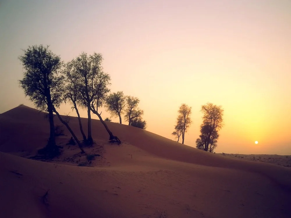 Bedouin Oasis Desert Camp- Ras Al Khaimah