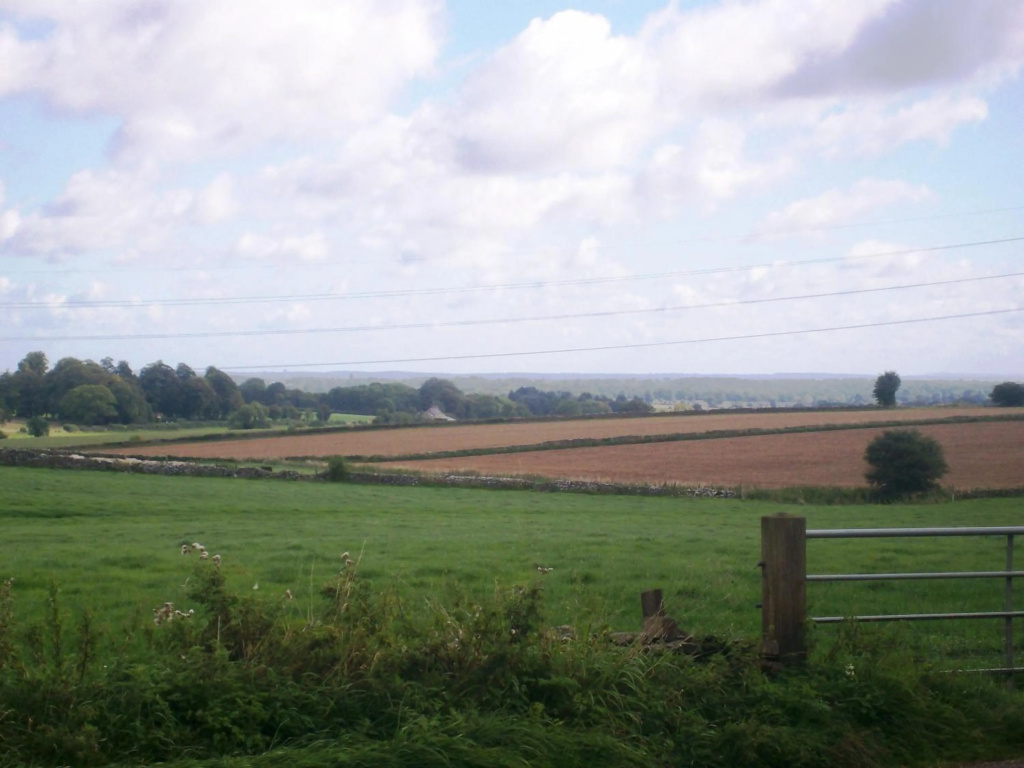 Windylands