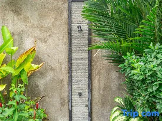 Honey Mandarin villa - Lush Garden Pool 2 BR villa