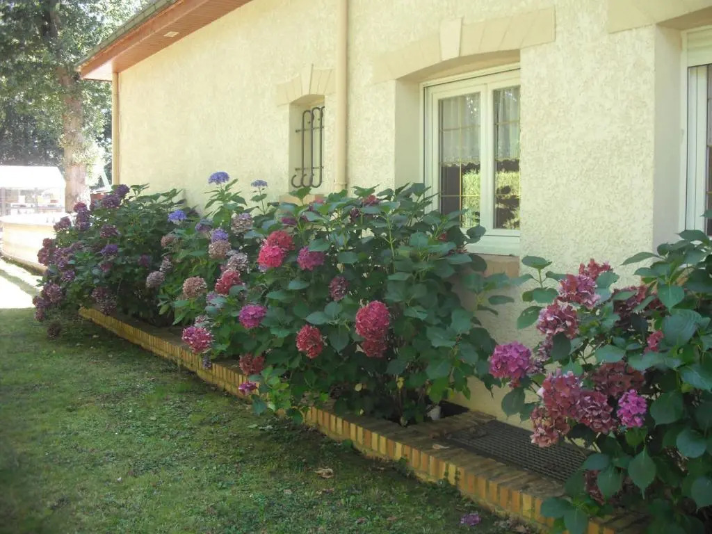Les chambres du lac