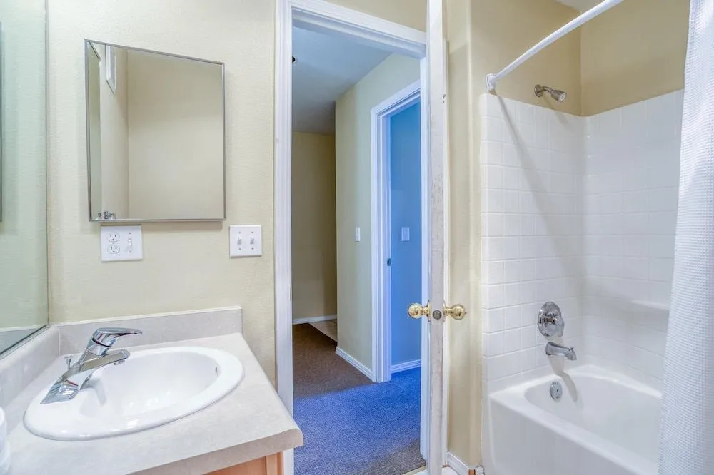 Birds Nest Suite
