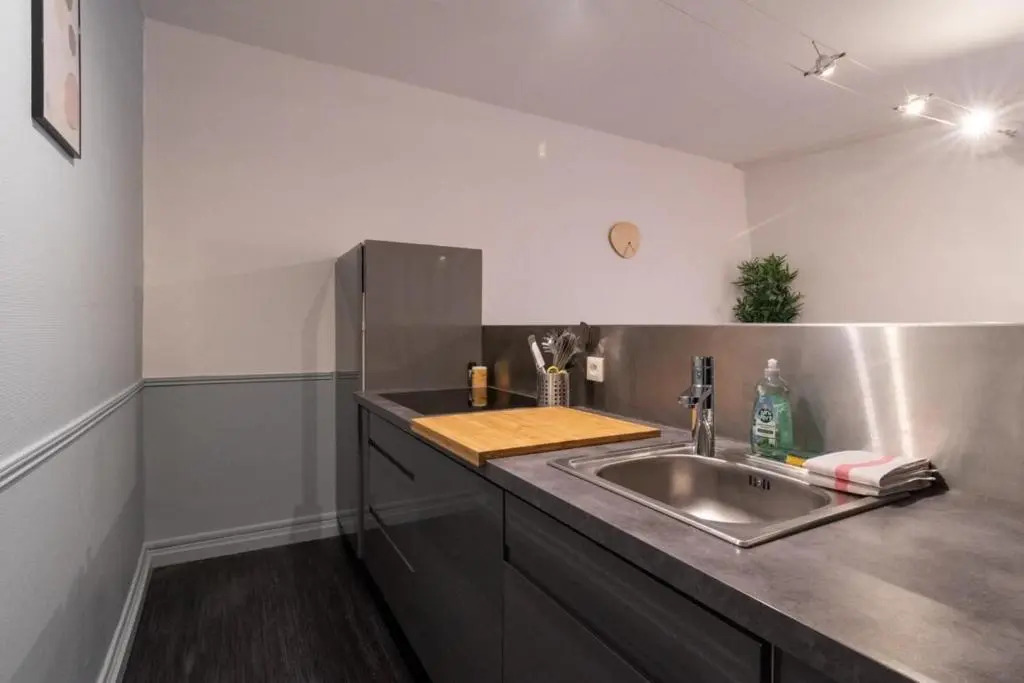 Tourcoing - Superb apartment 3pers