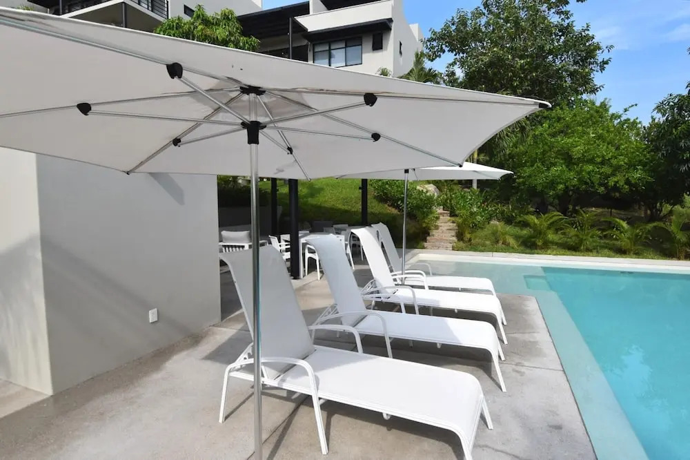 Agaves 203
