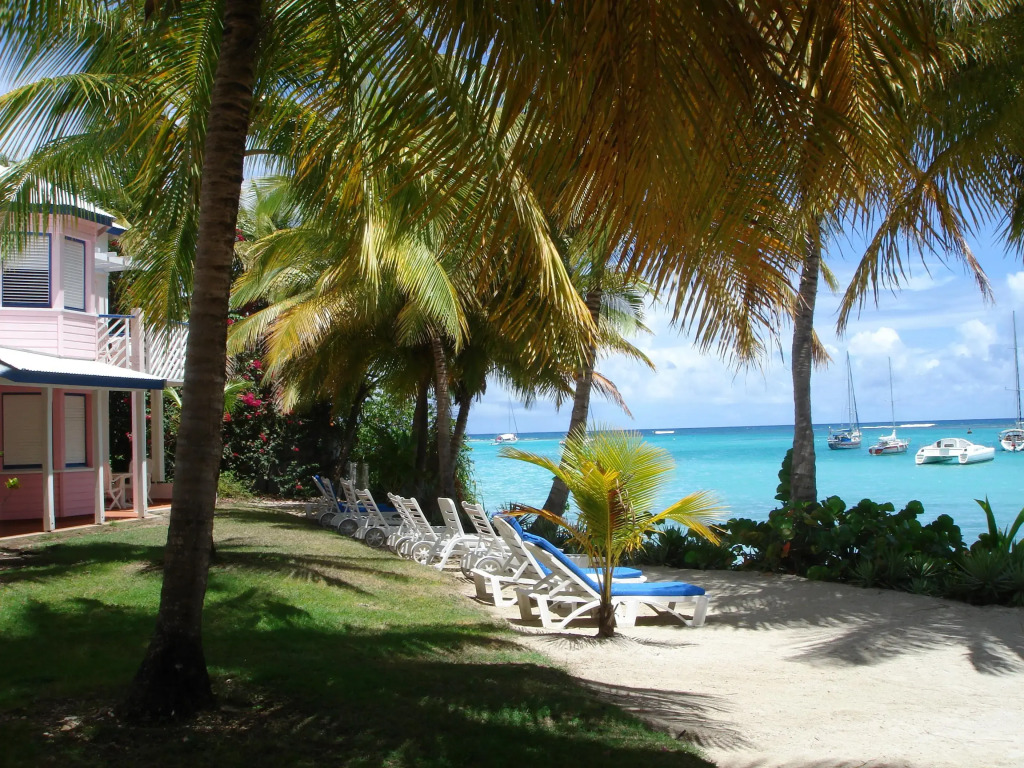 La Cocoteraie