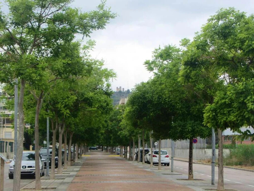 Apartment with One Bedroom in Oliva, with Furnished Terrace And Wifi - 2 Km From the Beach
