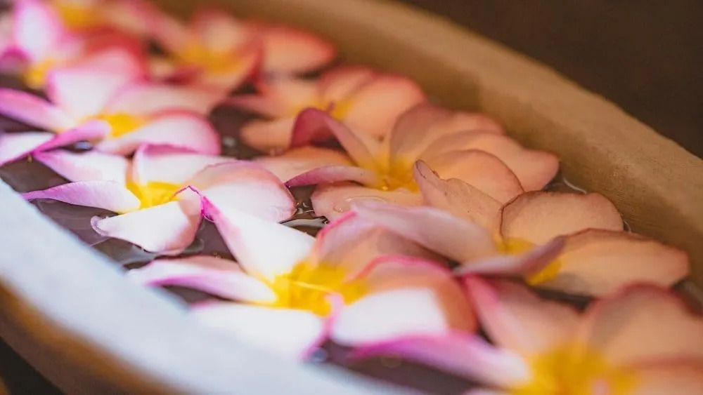Ayur Ayur Resort & Ayurveda Retreat