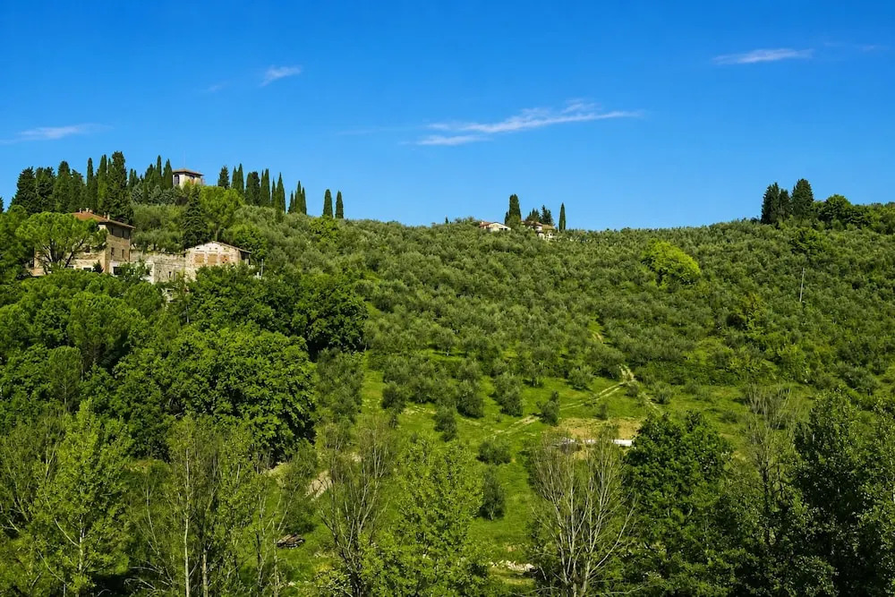 Podere Apostoli