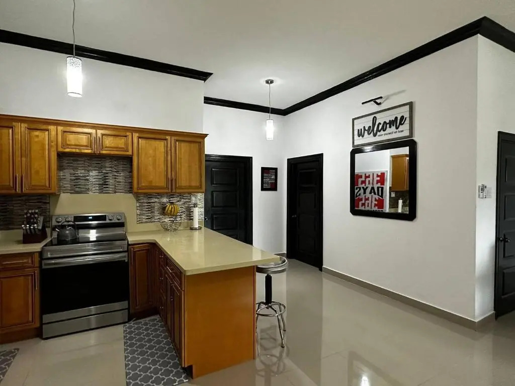 Luxury Living Modern & Contemporary Home With Brand New Pool in Manor Park