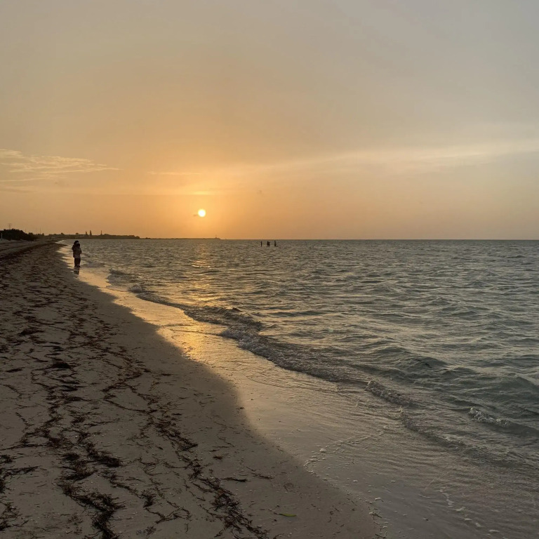 Playa Arena