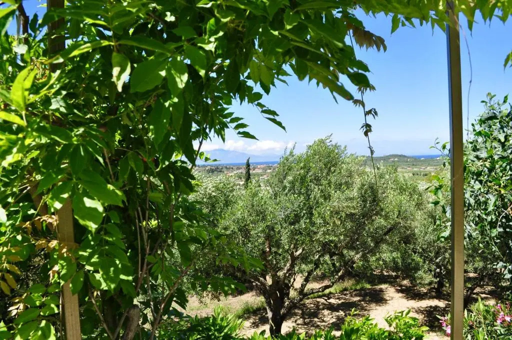 Casa Bella Vita