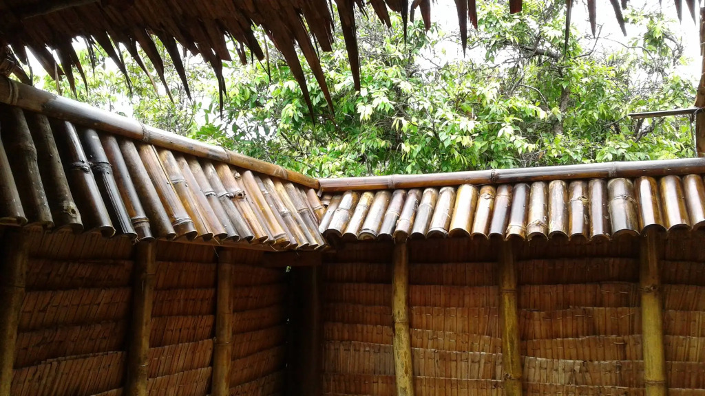 Tree Bar Hostel