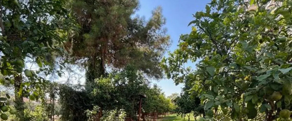 Mersin Panorama Otel