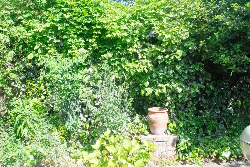 Quiet Retreat With Garden Next To Portobello Road