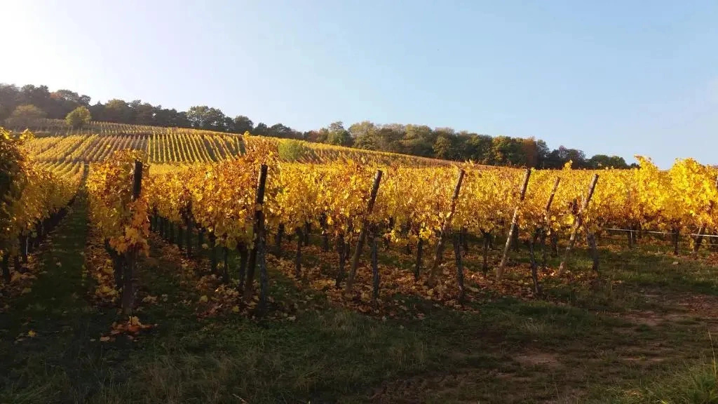 Au Coeur D'Alsace