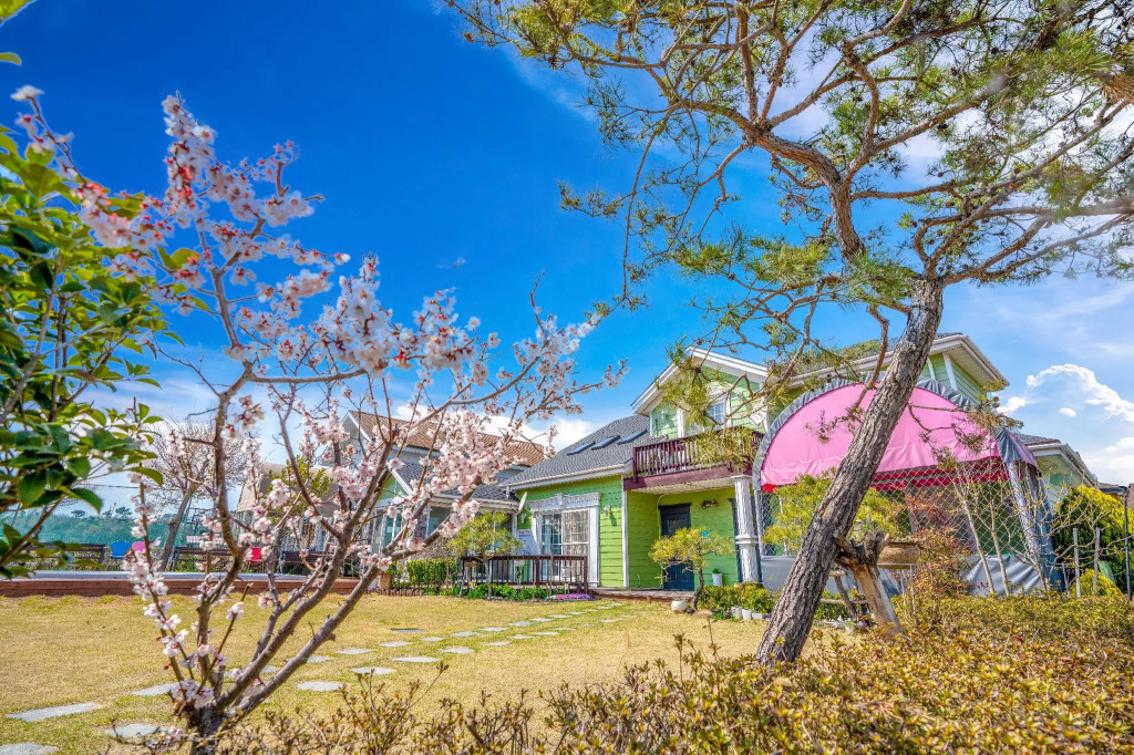 Daebudo polaris pension
