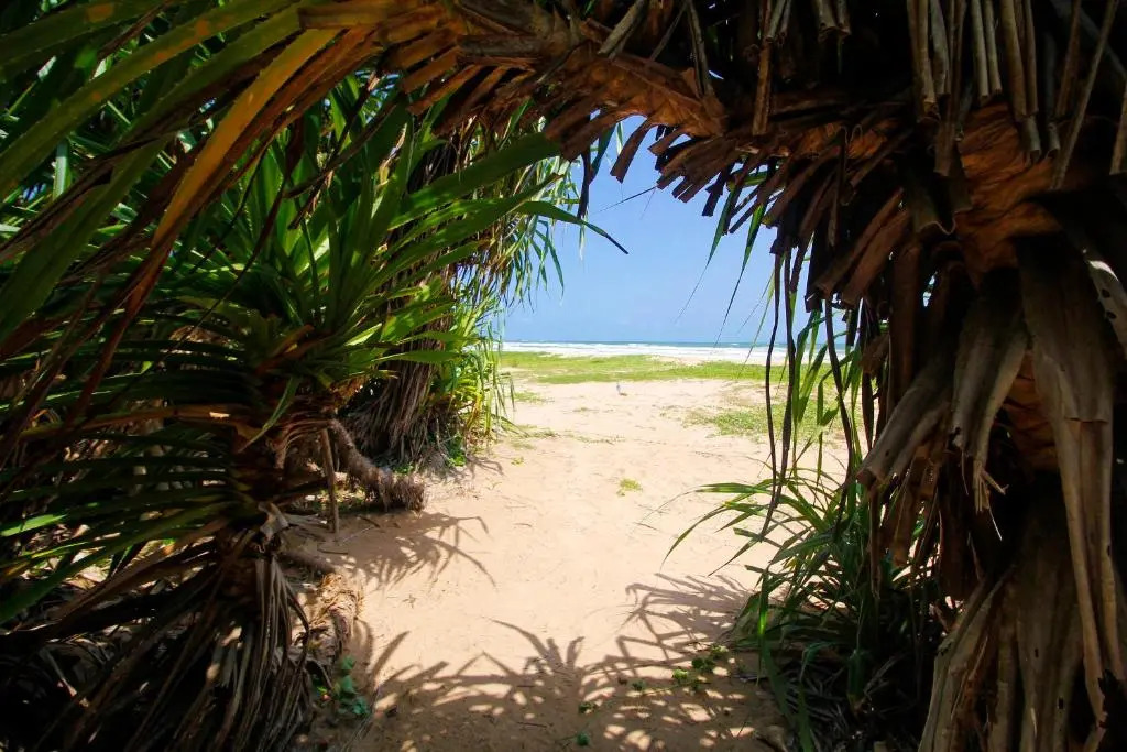 Bentota Home Stay