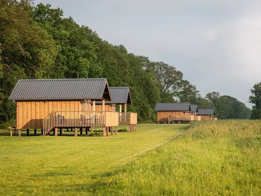 Lodges in Drenthe With Scenic Meadow Views