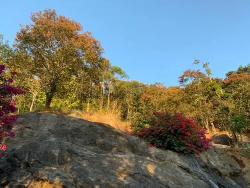 Jade Munnar