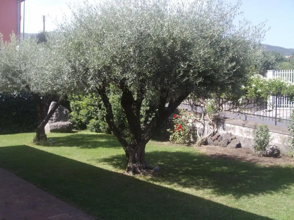 Casa Scatitti