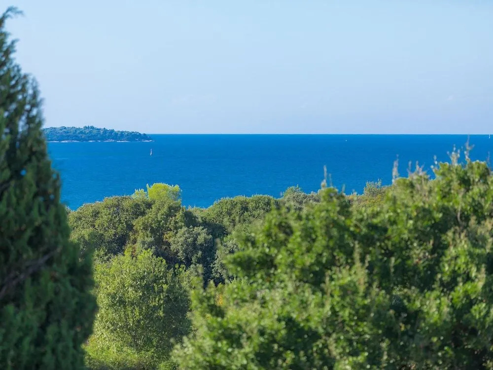 Salamander Pula in Pula