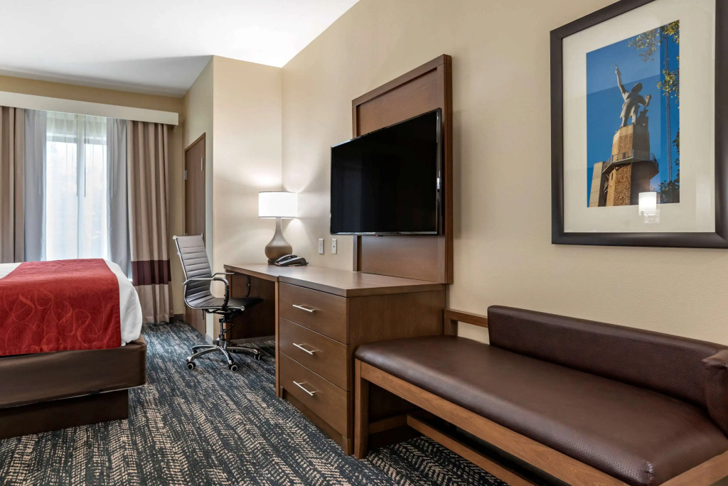 Comfort Inn & Suites Downtown near University