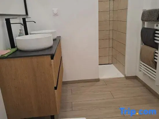 Large and quiet apartment next to the city center