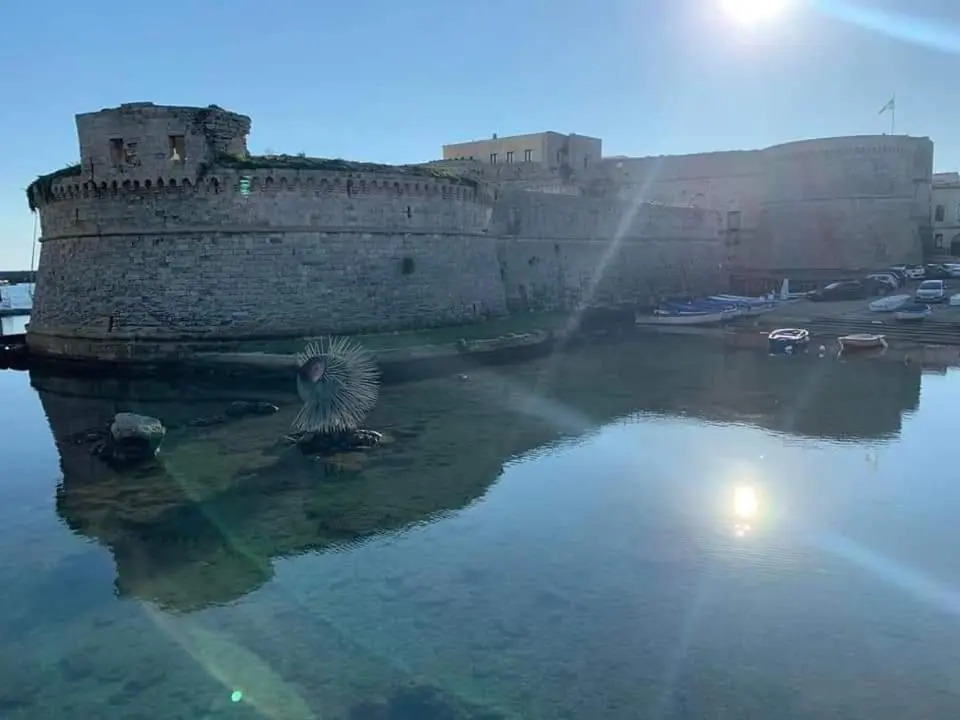 Appartamenti a Gallipoli