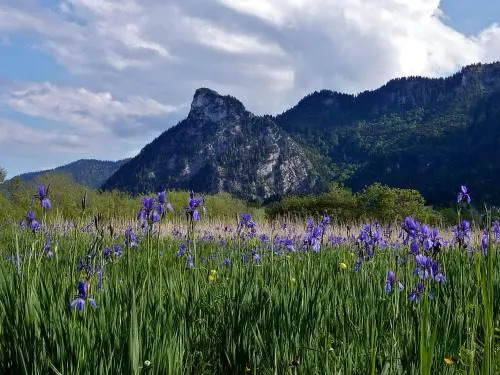 City Apartment