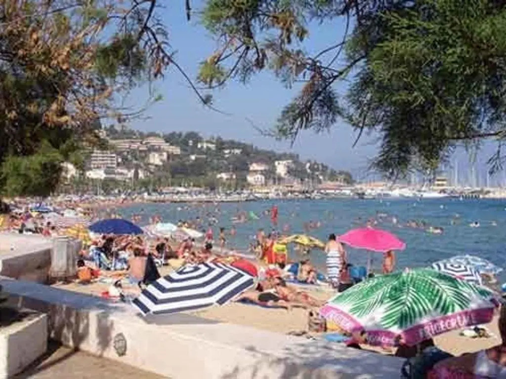 Appartement Le Lavandou, 1 pièce, 3 personnes - FR-1-308-77