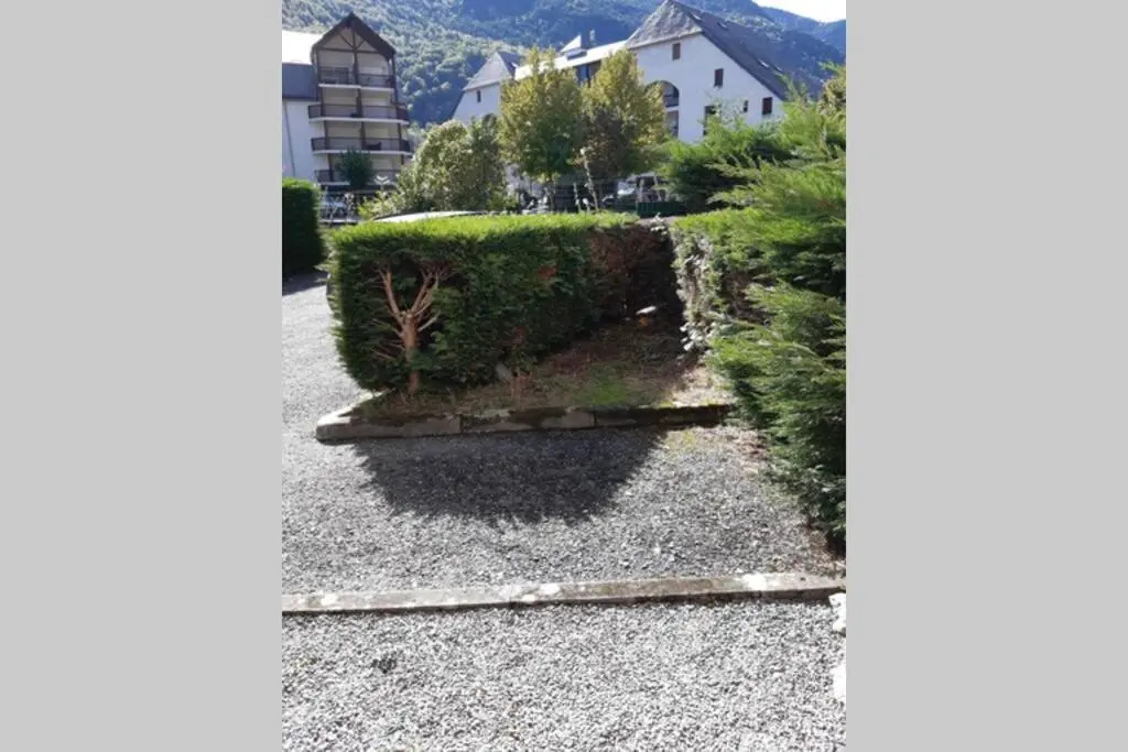 appartement T2 cabine en RDC avec terrasse