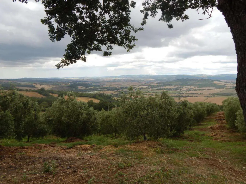 Piane Del Bagno