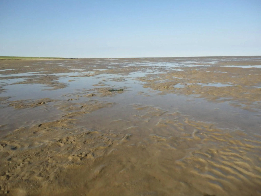 Nordseehof Fuhlehoern