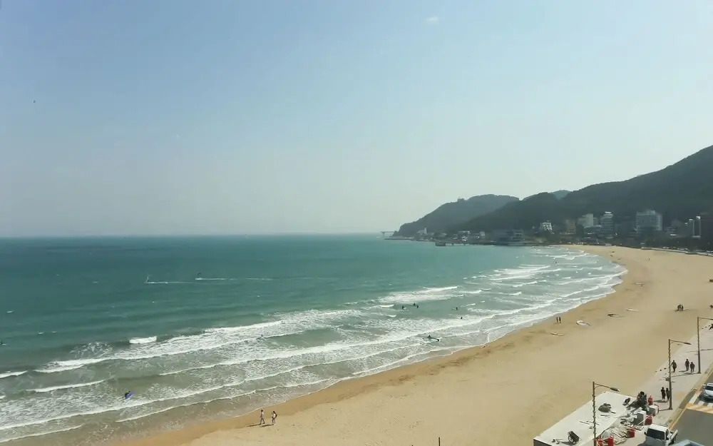 Busan Songjeong Sloth