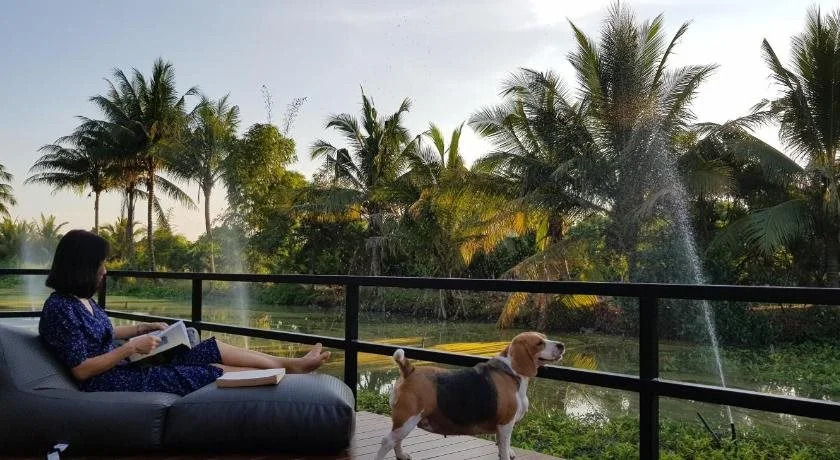 Free Clouds Resort